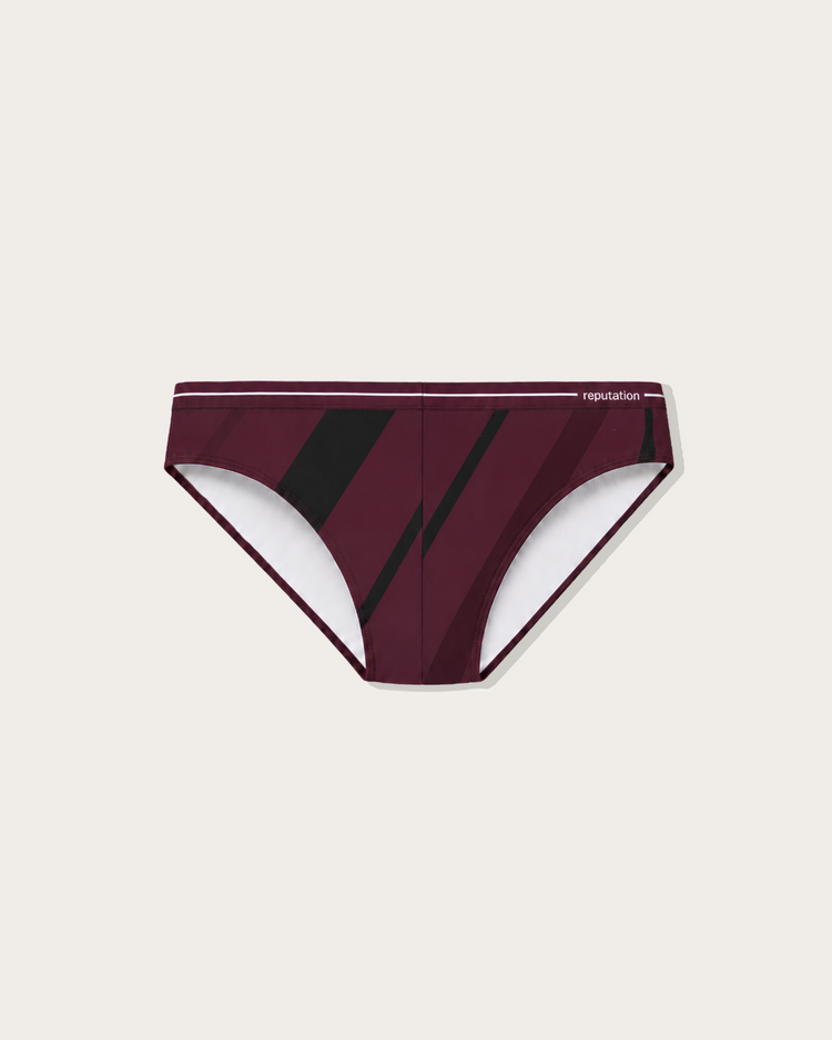 Reputation Signature Swim Brief 02 Vector, second colorway flat lay